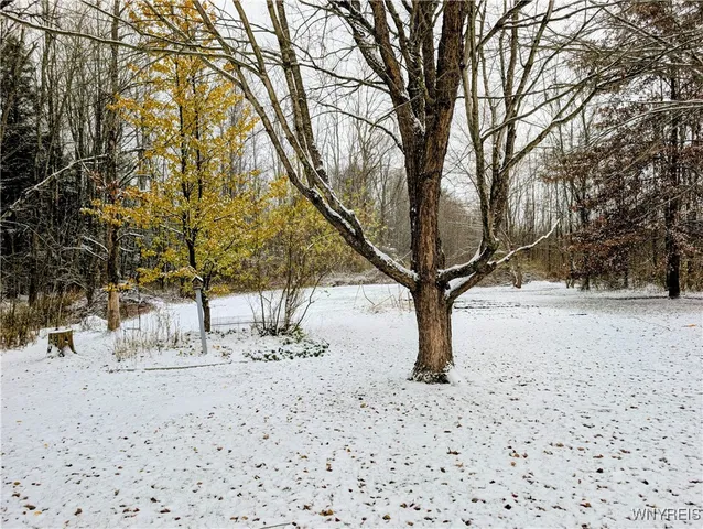 $65,000 | 167 Kody Lane, Yorkshire, NY 14042