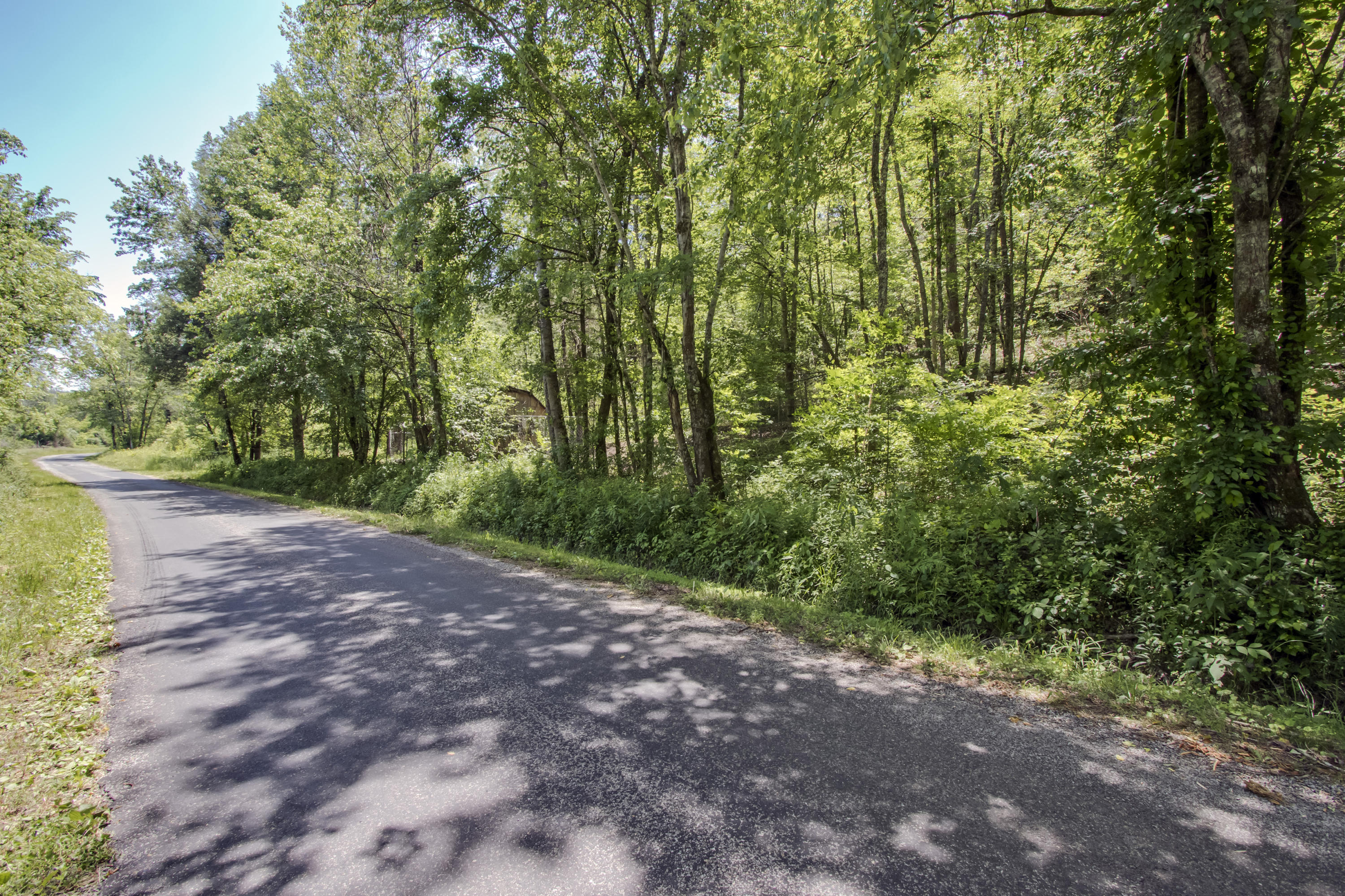 220 Sloan Road Vonore, TN 37885 - Photo 3 of 7 02_SloanRoad_220_Road_S-SE