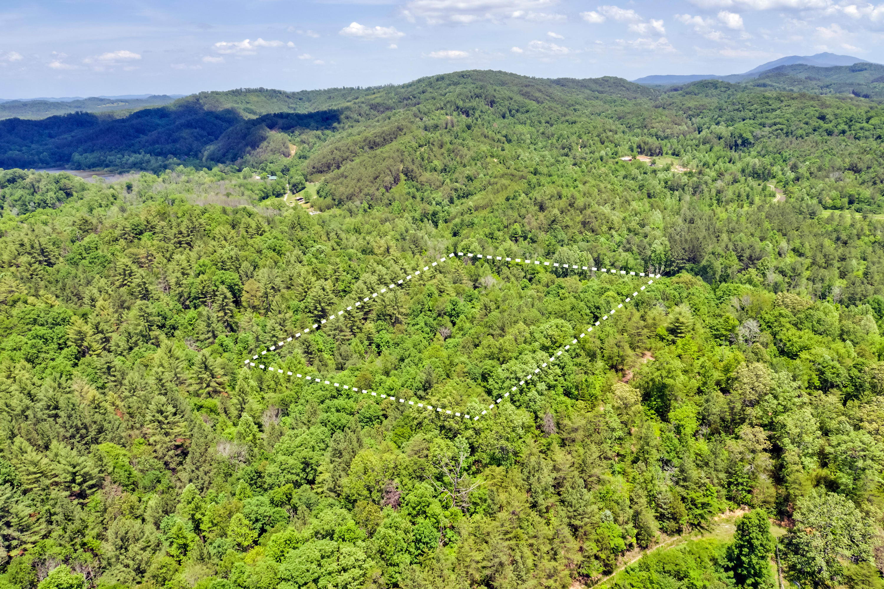 220 Sloan Road Vonore, TN 37885 - Photo 7 of 7 05_SloanRoad_220_Birdseye_NE
