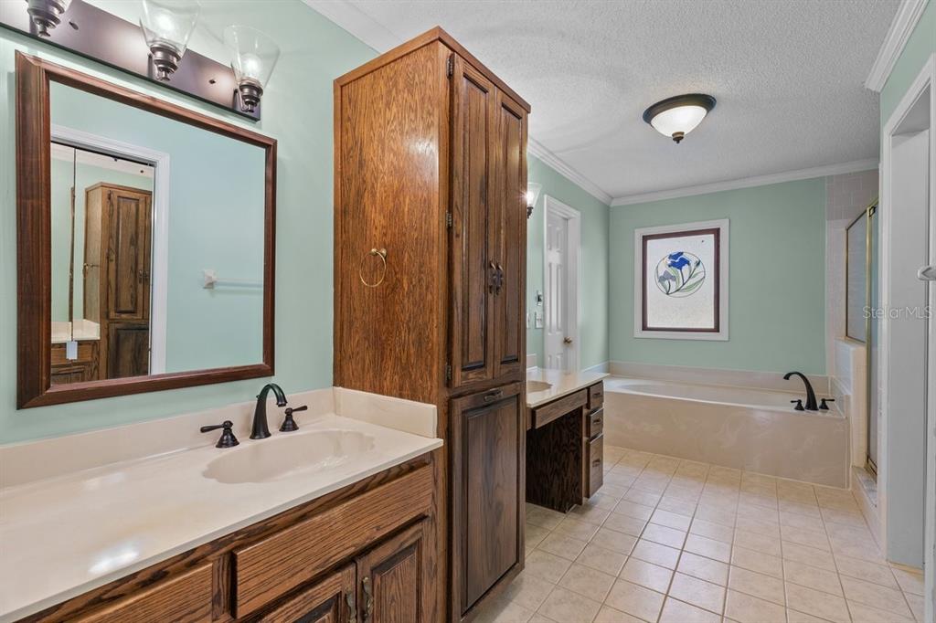 2545 Crooked Creek Point Road Middleburg, FL 32068 - Photo 49 of 54 a bathroom with a tub sink and mirror