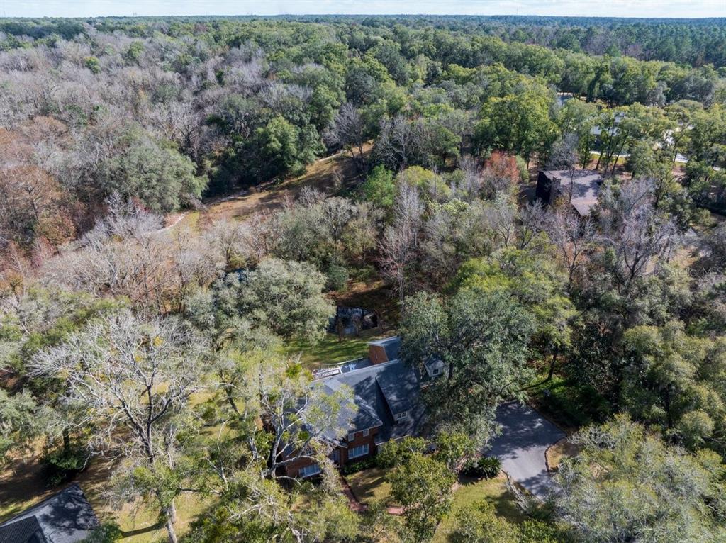 2545 Crooked Creek Point Road Middleburg, FL 32068 - Photo 53 of 54 a view of a forest with a tree
