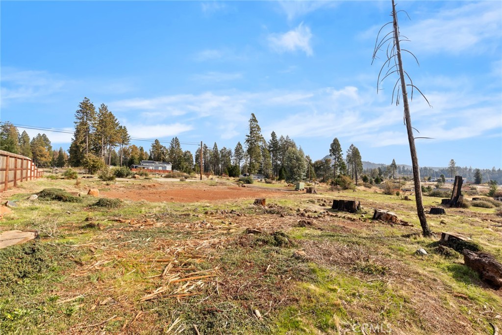 6507 Shaw Circle Magalia, CA 95954 - Photo 6 of 15 a view of a yard with snow on the road