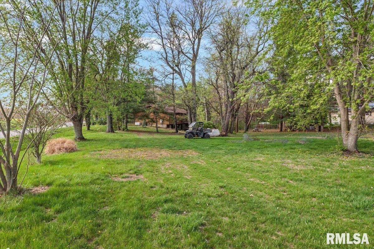 6487 Rentshler Road Rochester, IL 62563 - Photo 33 of 47
