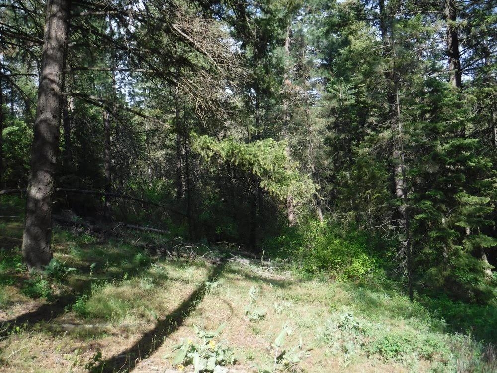 4593 G Hidden Road Loon Lake, WA 99148 - Photo 11 of 32