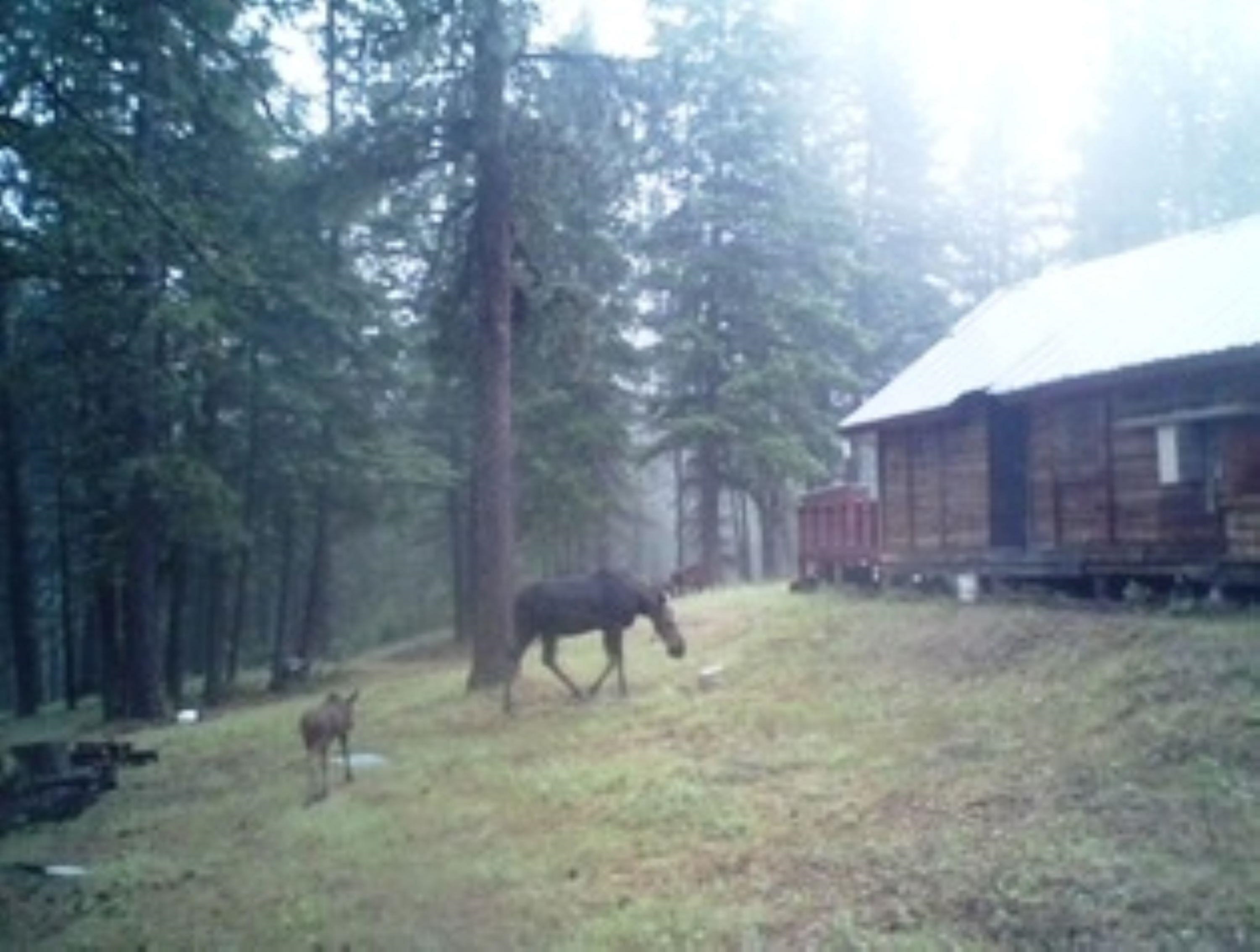 4593 G Hidden Road Loon Lake, WA 99148 - Photo 17 of 32