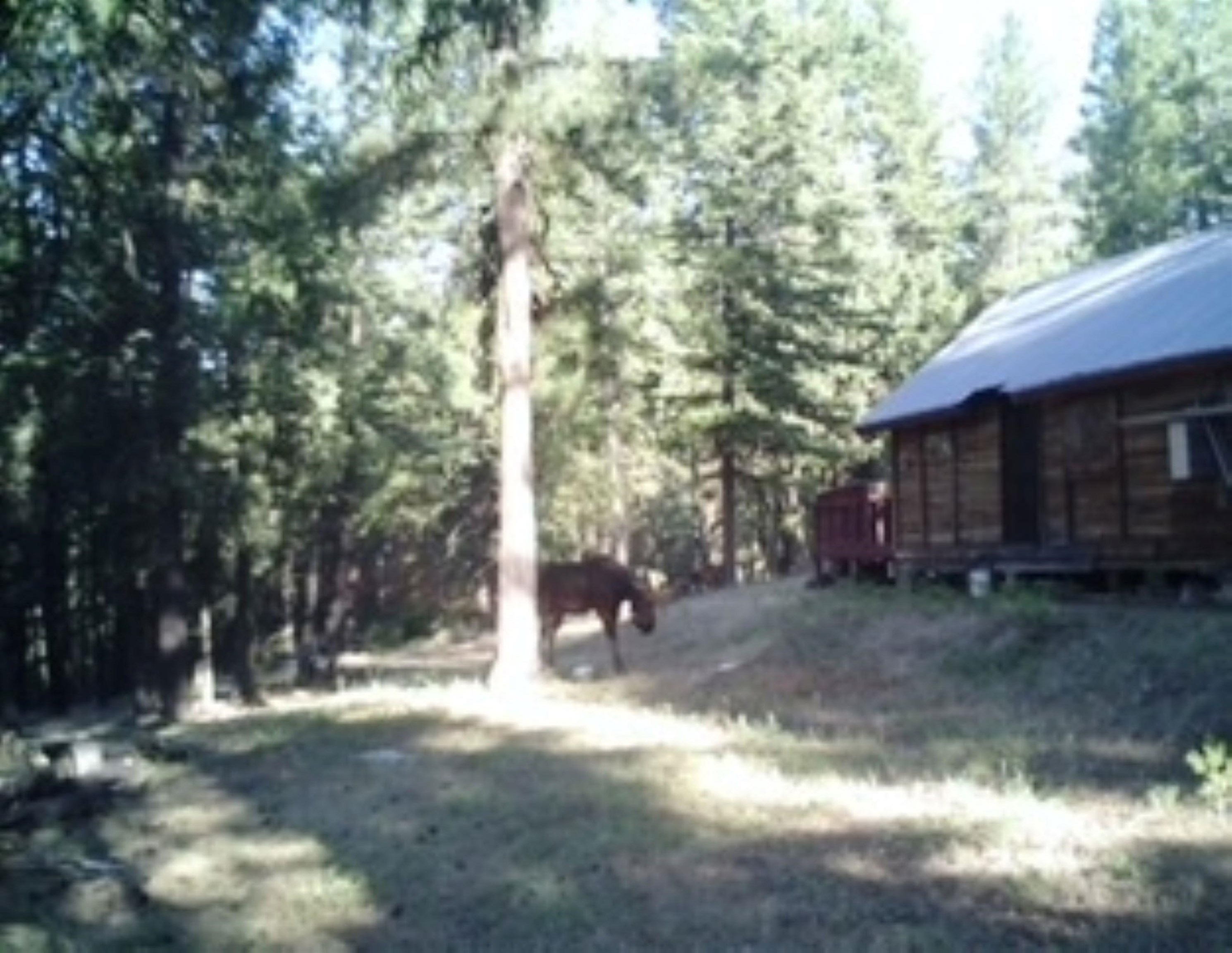 4593 G Hidden Road Loon Lake, WA 99148 - Photo 18 of 32