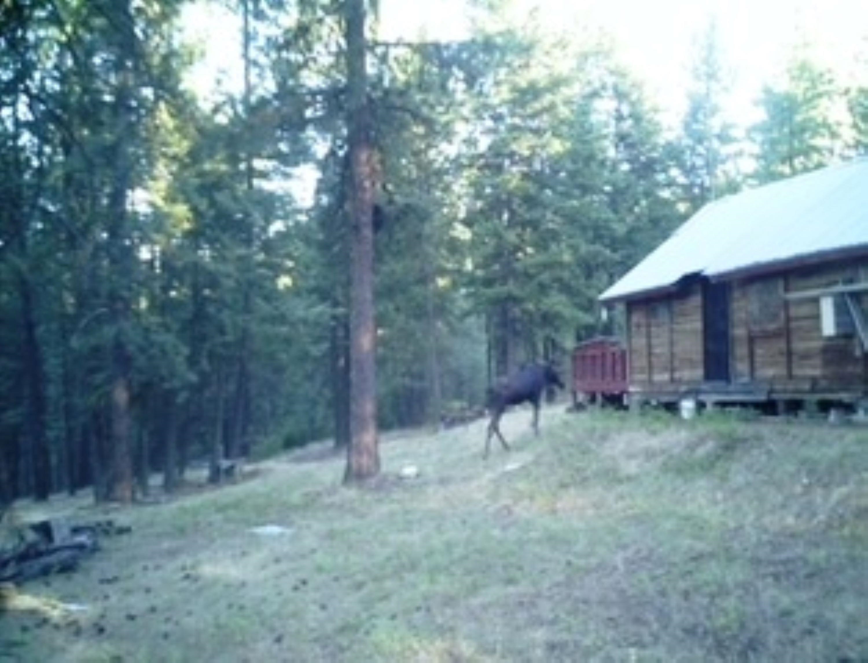 4593 G Hidden Road Loon Lake, WA 99148 - Photo 21 of 32