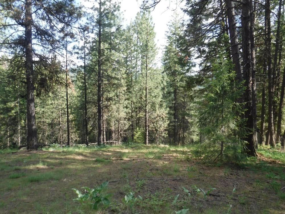 4593 G Hidden Road Loon Lake, WA 99148 - Photo 5 of 32