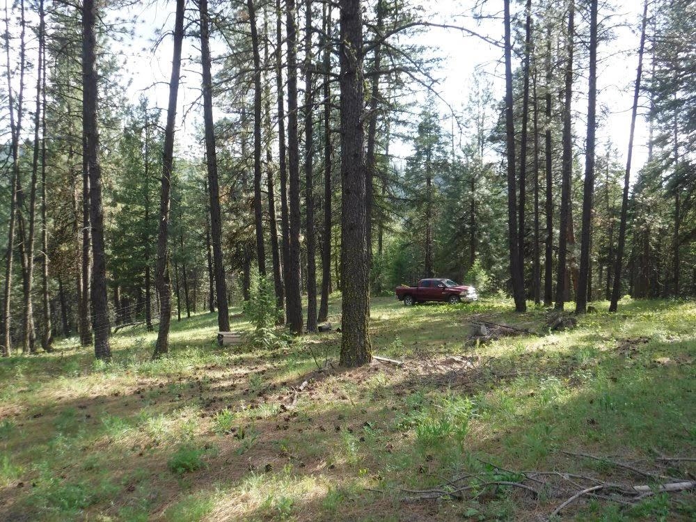 4593 G Hidden Road Loon Lake, WA 99148 - Photo 7 of 32