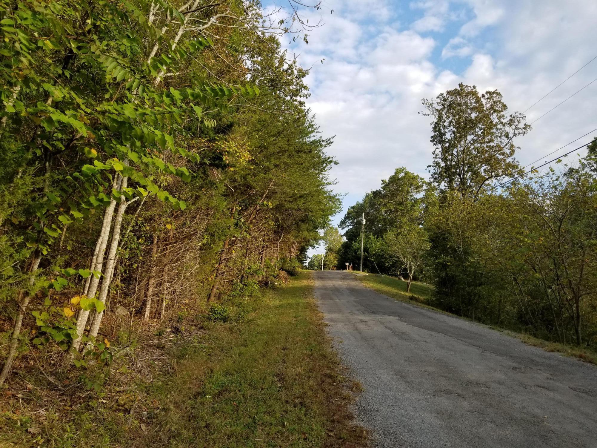 Lot 51 Key Cove Road Rd Spring Spring City, TN 37381 - Photo 2 of 6 20171015_173803