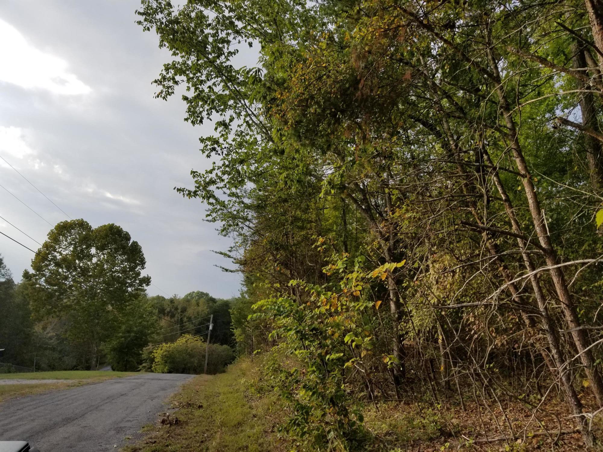 Lot 51 Key Cove Road Rd Spring Spring City, TN 37381 - Photo 3 of 6 20171015_173813