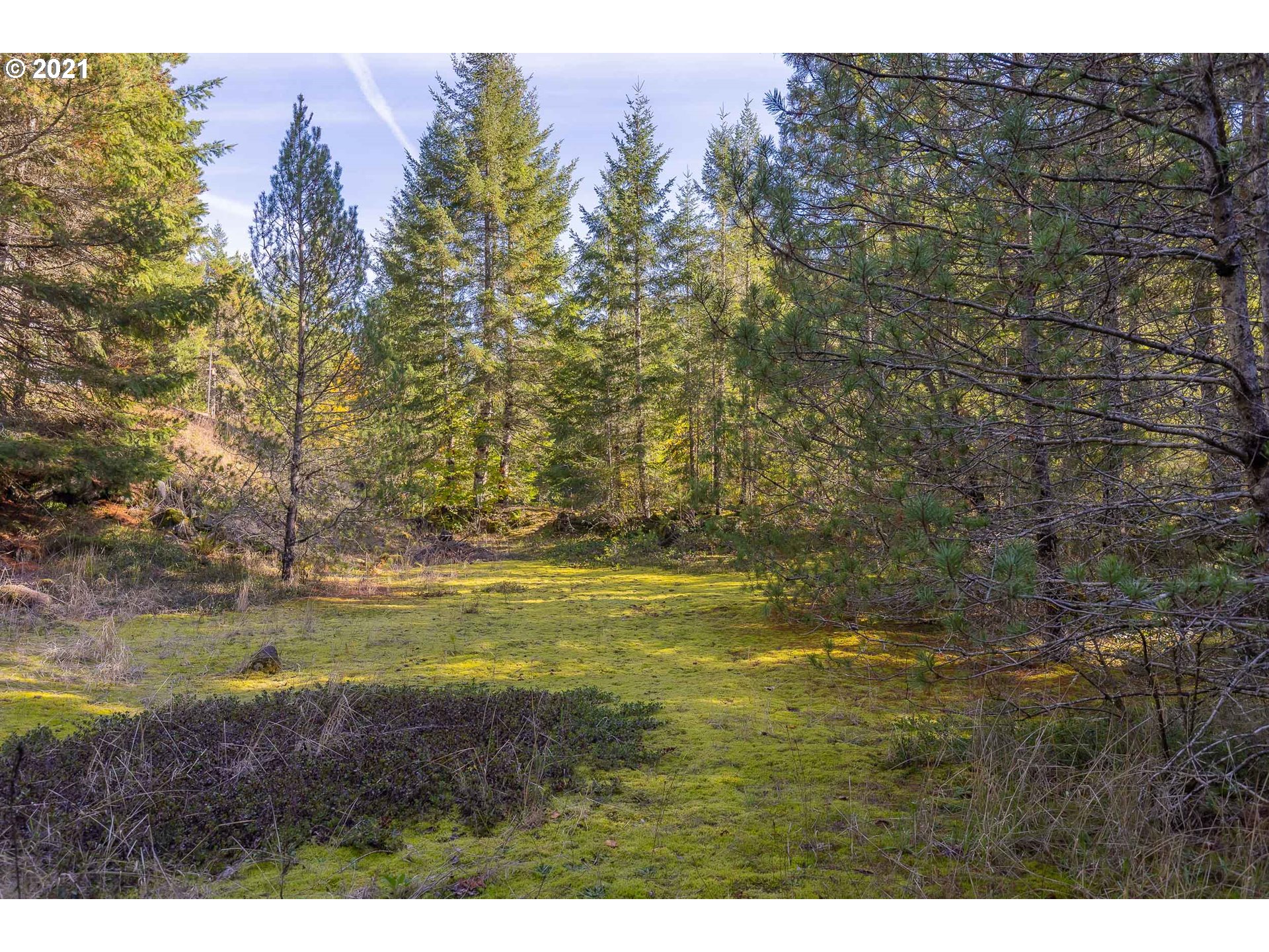 69280 East Barlow Trail Road Rhododendron, OR 97049 - Photo 6 of 25