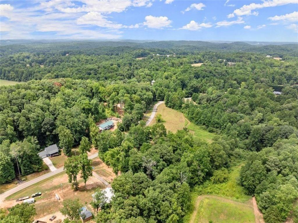 459 Gold Ridge Road Dahlonega, GA 30533 - Photo 44 of 47 a view of a city