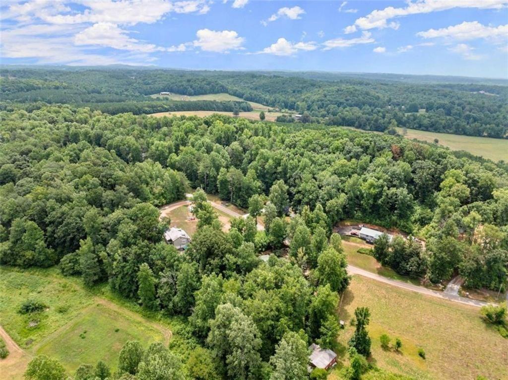459 Gold Ridge Road Dahlonega, GA 30533 - Photo 46 of 47 an aerial view of a houses with a yard