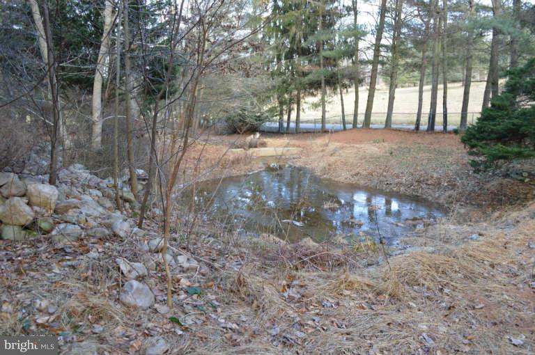 3112 Kaetzel Road Rohrersville, MD 21779 - Photo 8 of 30 Ponds
