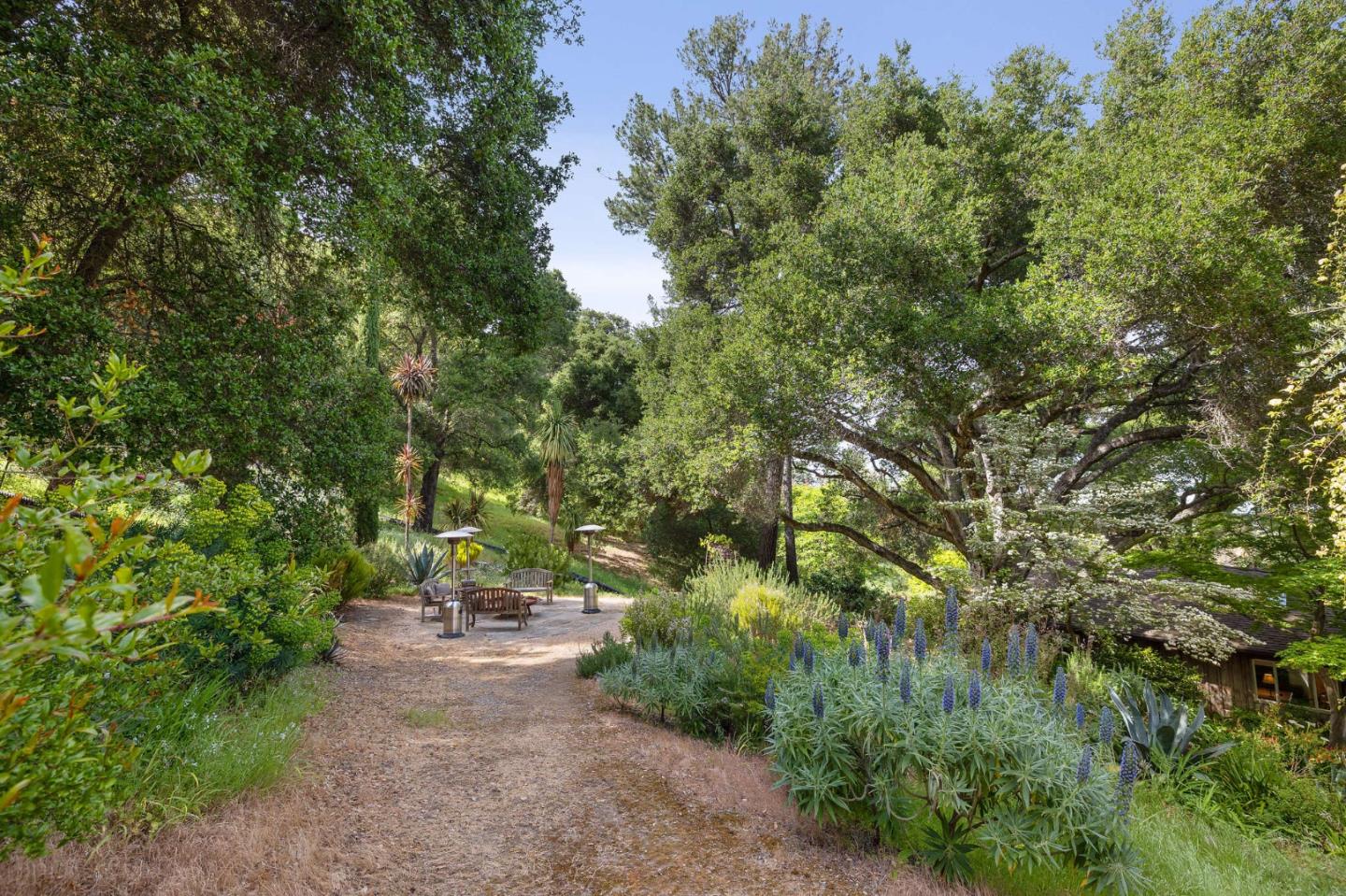 22 Preston Road Woodside, CA 94062 - Photo 34 of 60 a view of a forest with trees in front of it