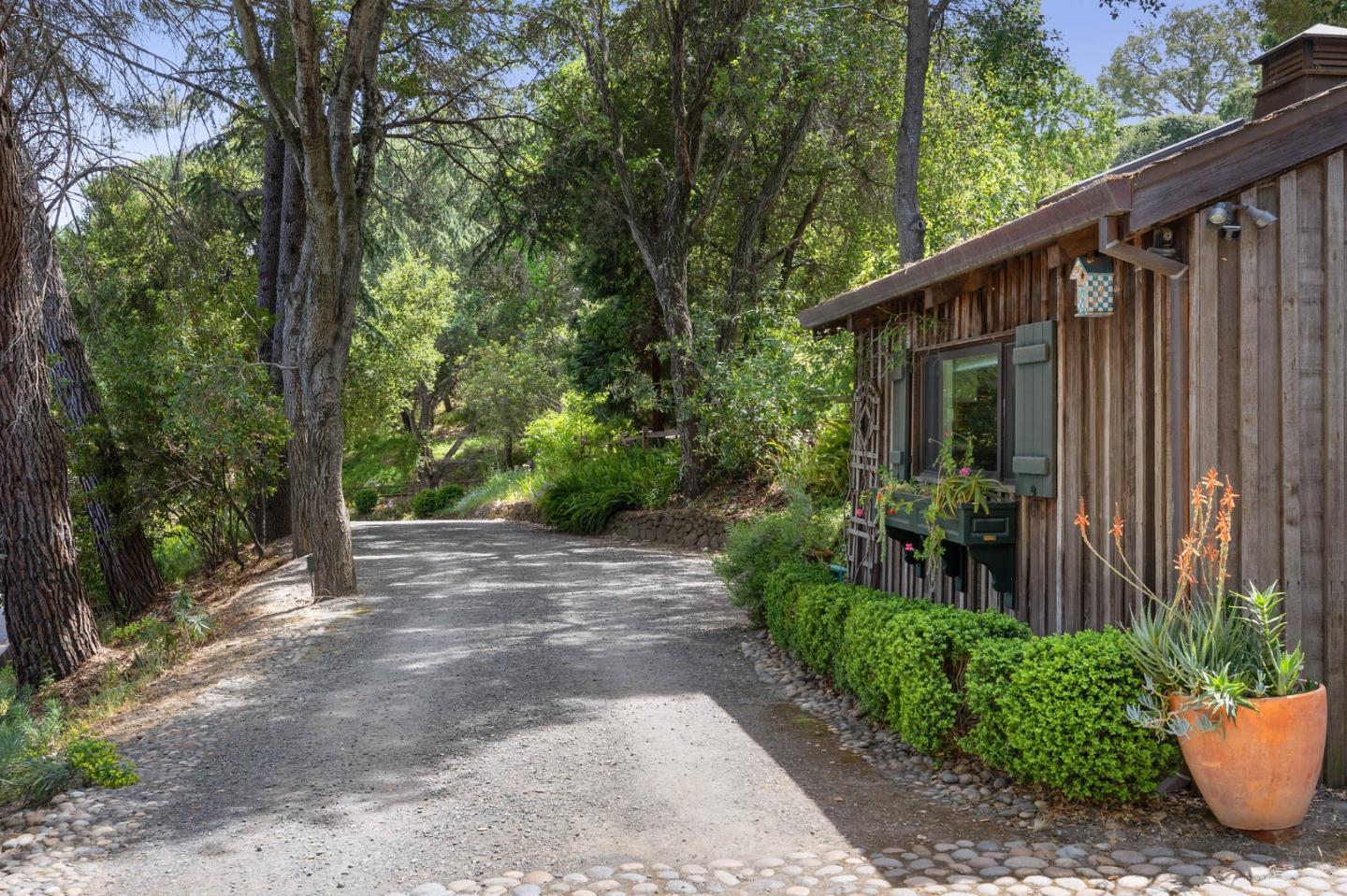 22 Preston Road Woodside, CA 94062 - Photo 42 of 60 a view of a backyard with potted plants and large trees