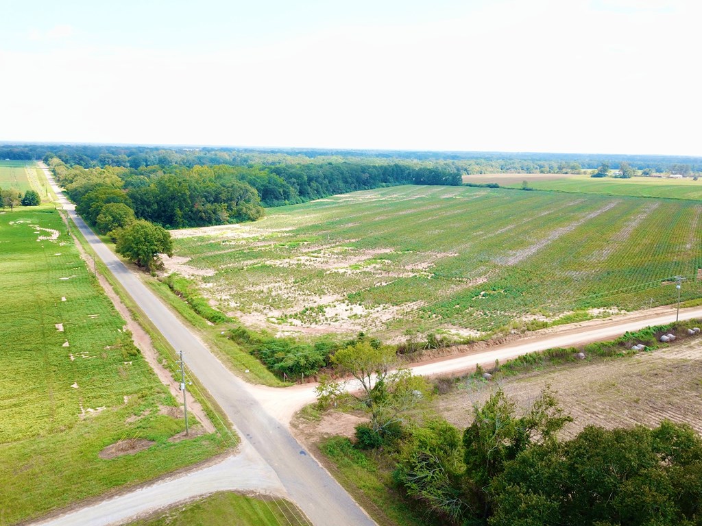 74 (rice Rd) Dothan Al Dothan, AL 36301 - Photo 3 of 15