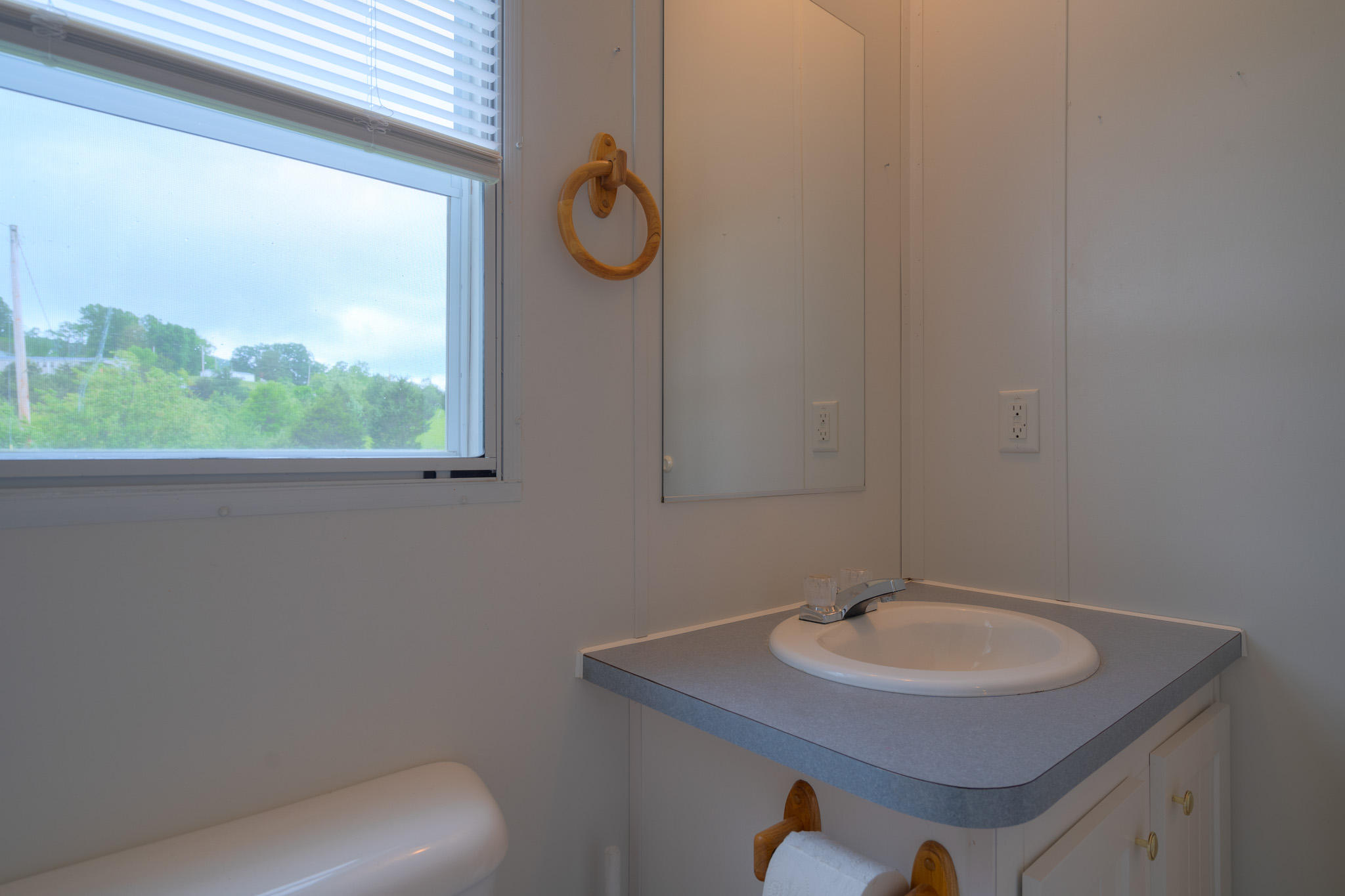 3240 Dallas Freeman Road Hiwassee, VA 24347 - Photo 17 of 42 a bathroom with a sink and a mirror