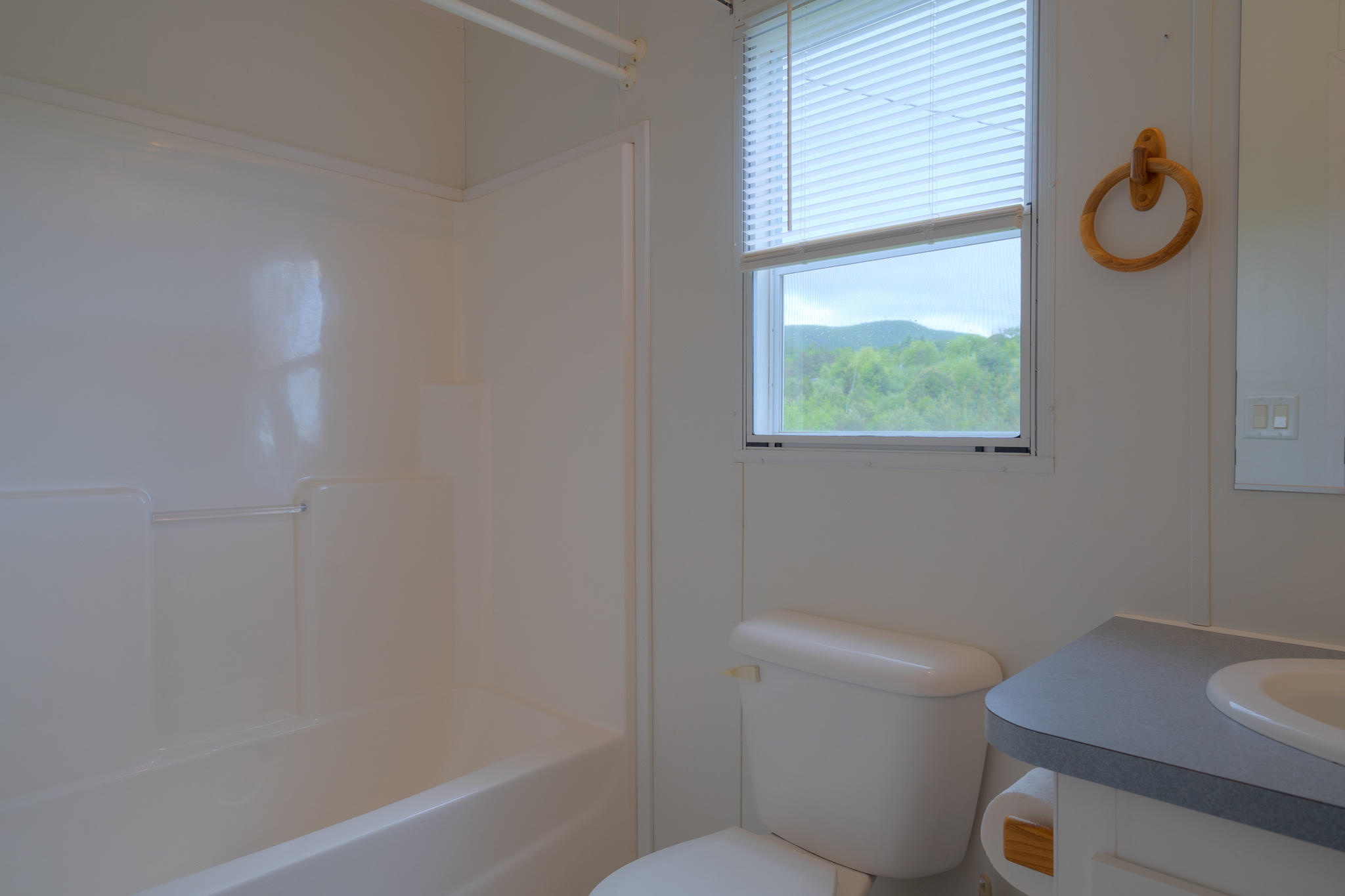 3240 Dallas Freeman Road Hiwassee, VA 24347 - Photo 18 of 42 a bathroom with a toilet and a sink