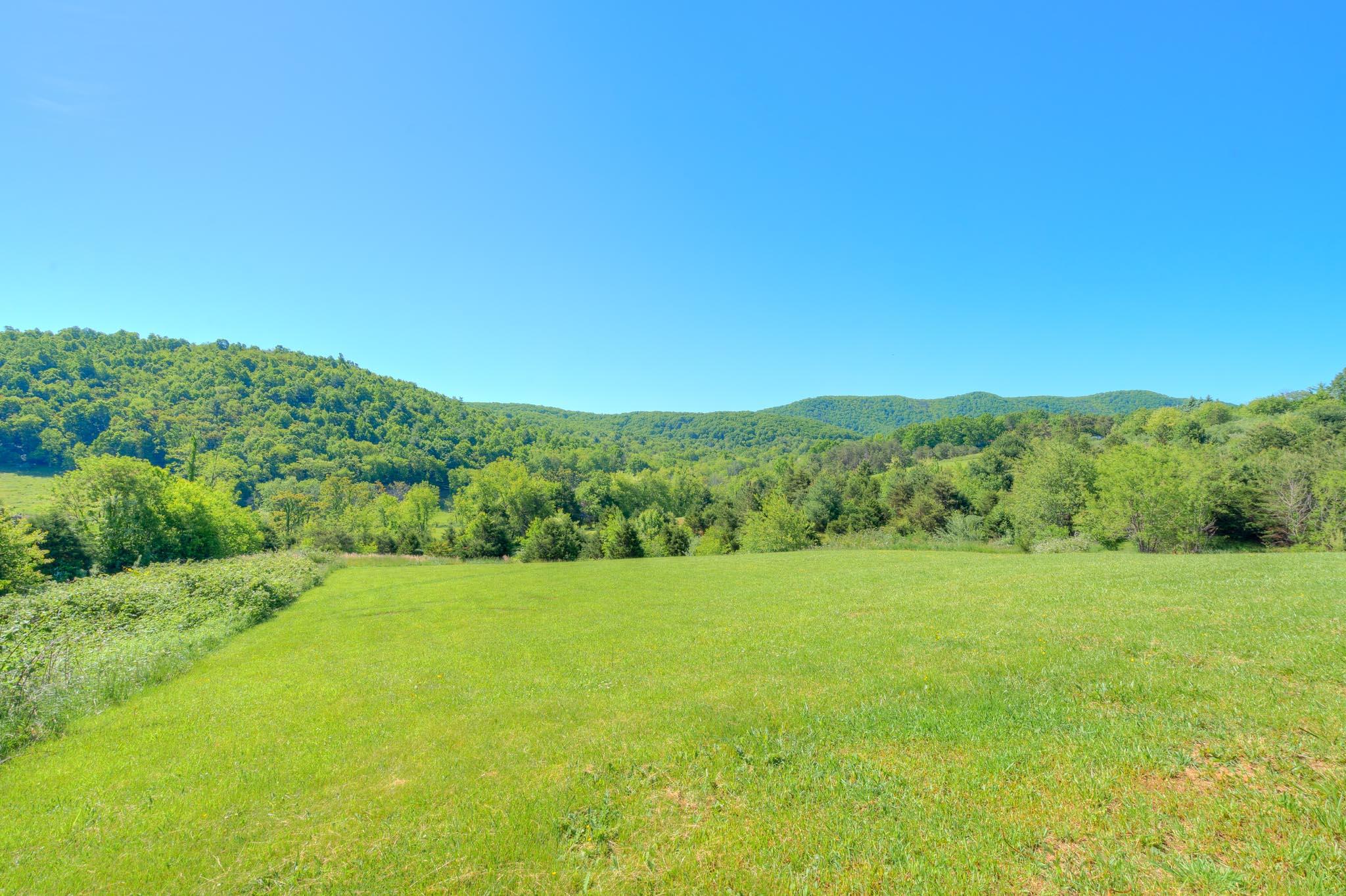 3240 Dallas Freeman Road Hiwassee, VA 24347 - Photo 26 of 42 a view of grassy field with trees in the background