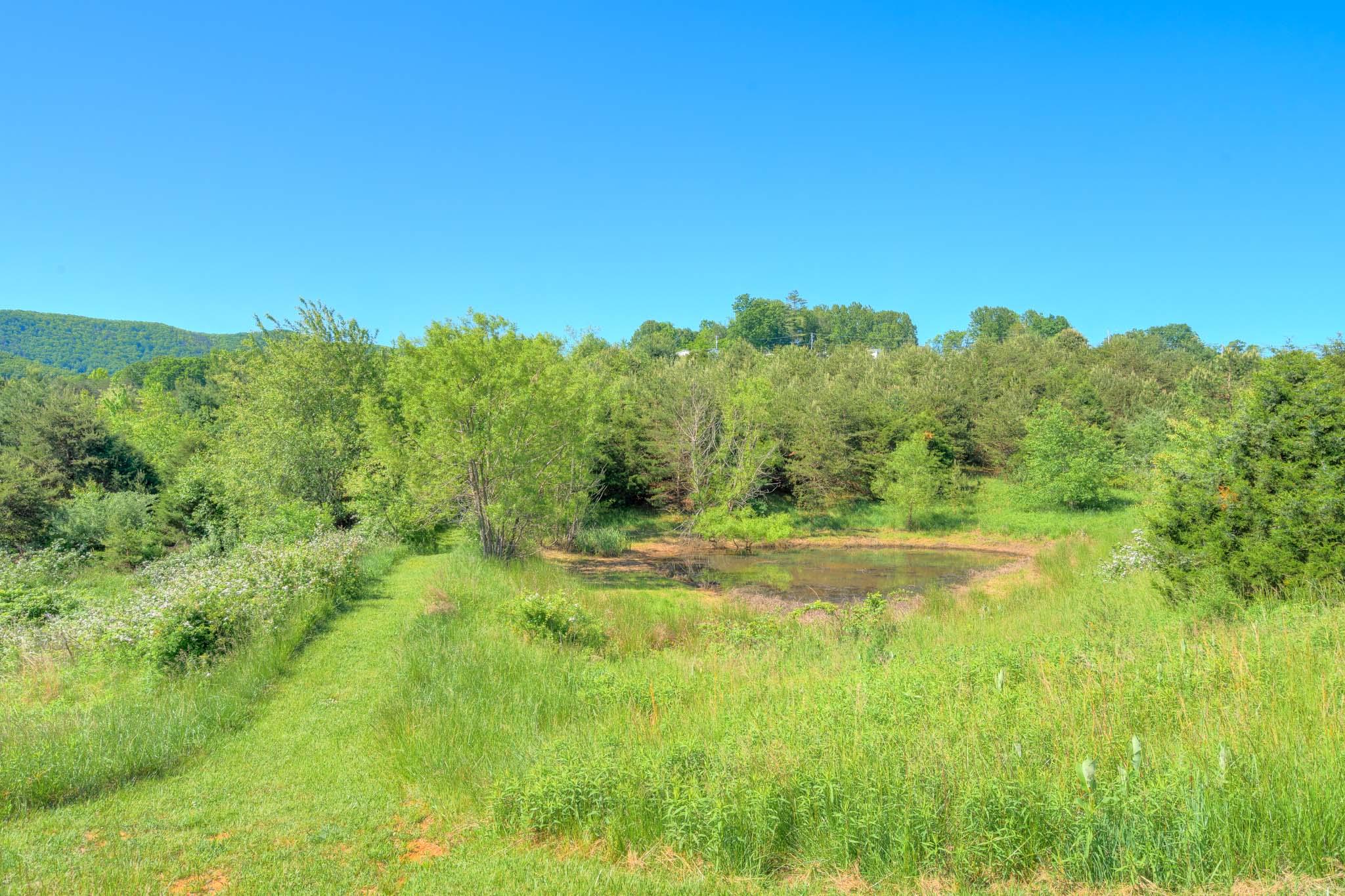 3240 Dallas Freeman Road Hiwassee, VA 24347 - Photo 28 of 42 a view of a lush green space