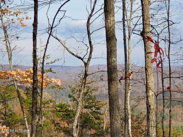 $179,000 | Bull Creek Road, Huntsville, TN 37756