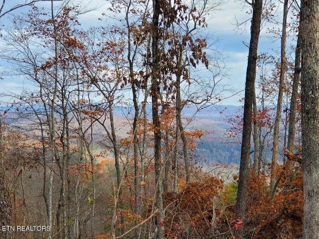 $179,000 | Bull Creek Road, Huntsville, TN 37756