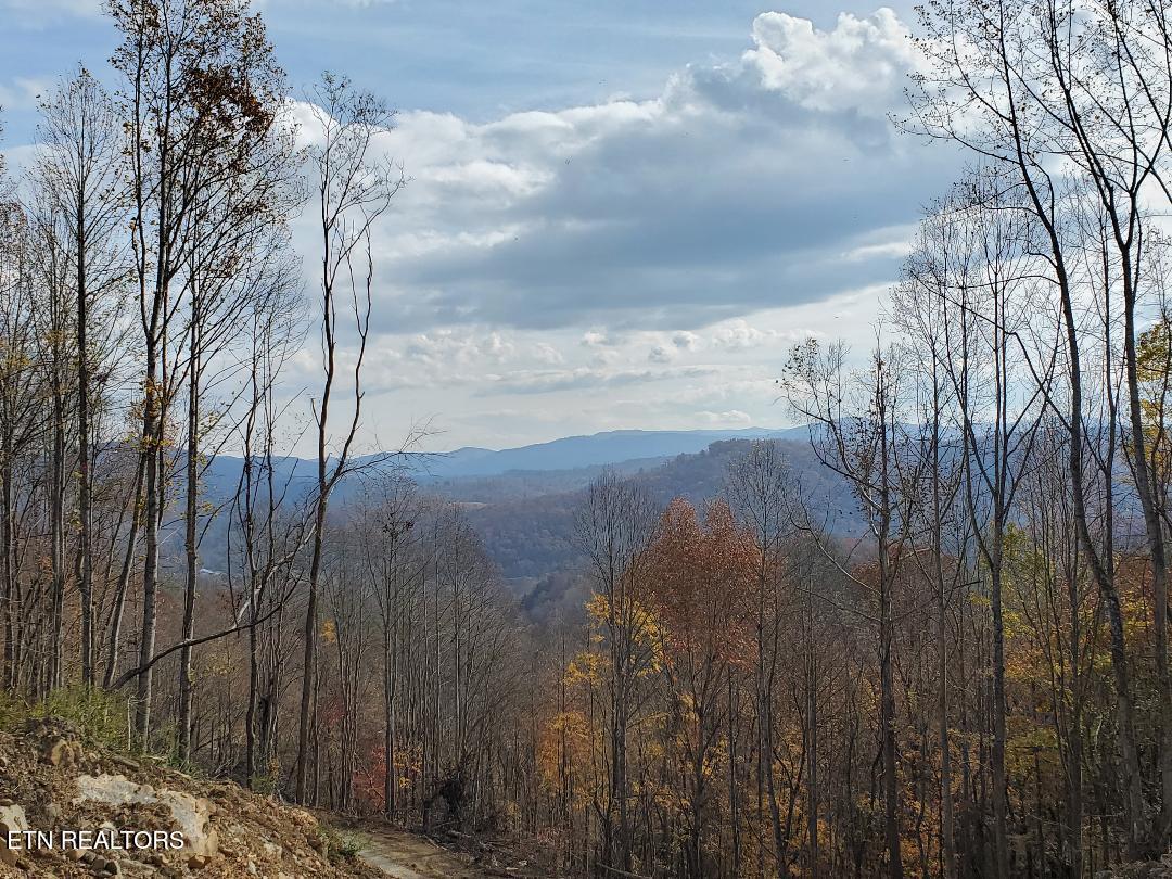 Hilltop Street Huntsville, TN 37756 - Photo 3 of 12 444