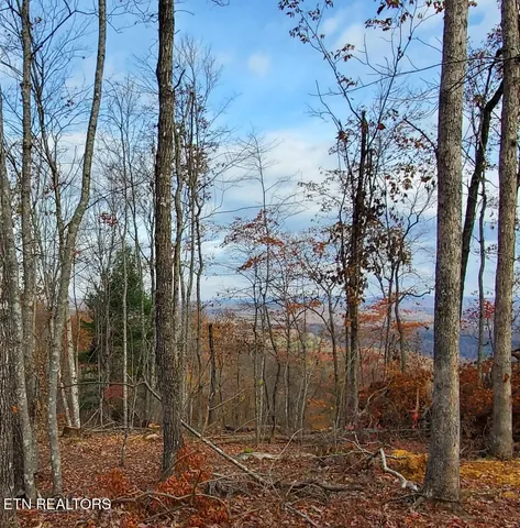 $179,000 | Bull Creek Road, Huntsville, TN 37756