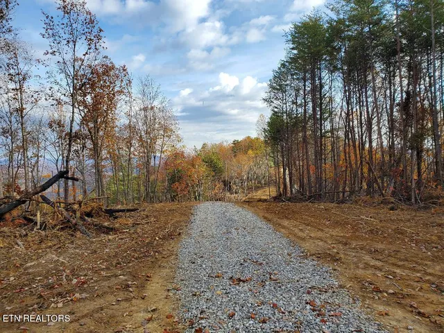 $179,000 | Bull Creek Road, Huntsville, TN 37756