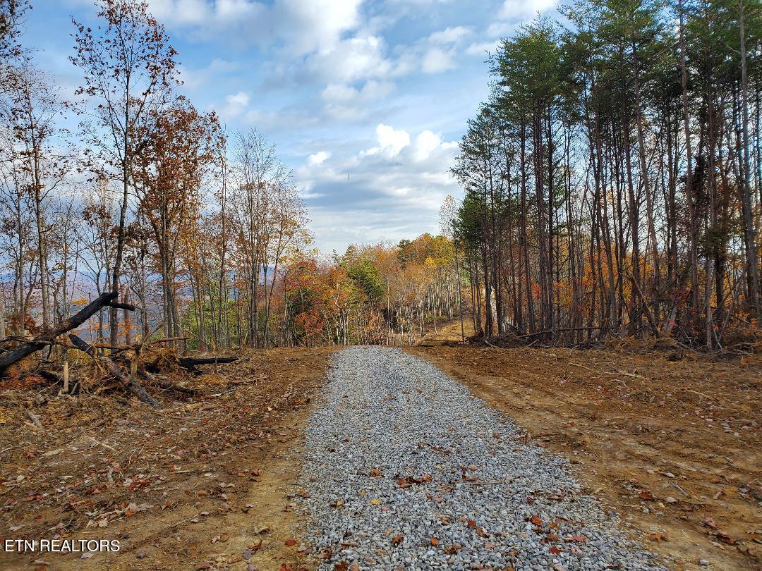Hilltop Street Huntsville, TN 37756 - Photo 7 of 12 53