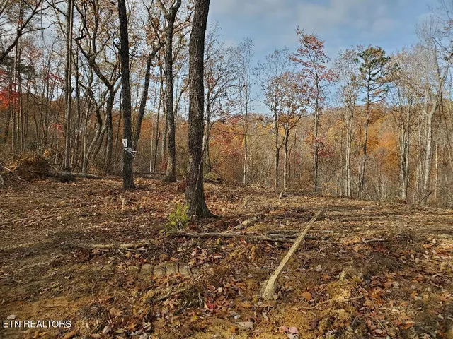 $179,000 | Bull Creek Road, Huntsville, TN 37756