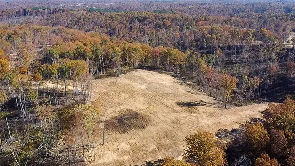 a view of a yard with trees