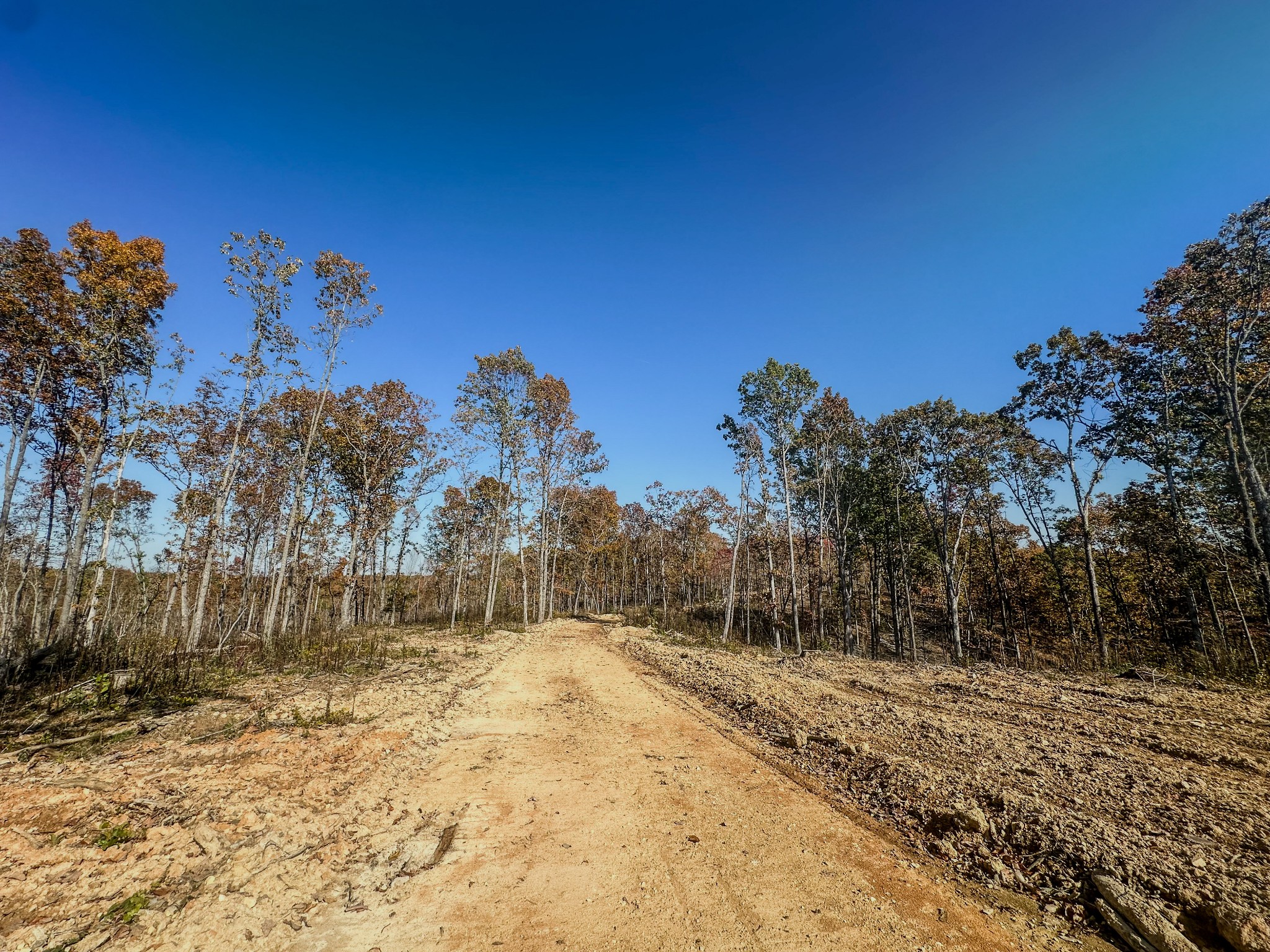 0 Fire Tower Road Centerville, TN 37033 - Photo 11 of 33 a view of a yard with a house