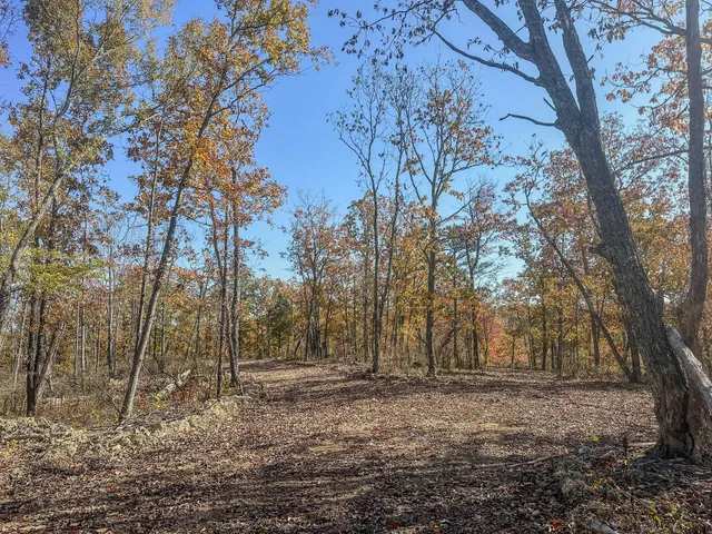 a view of dirt yard with trees