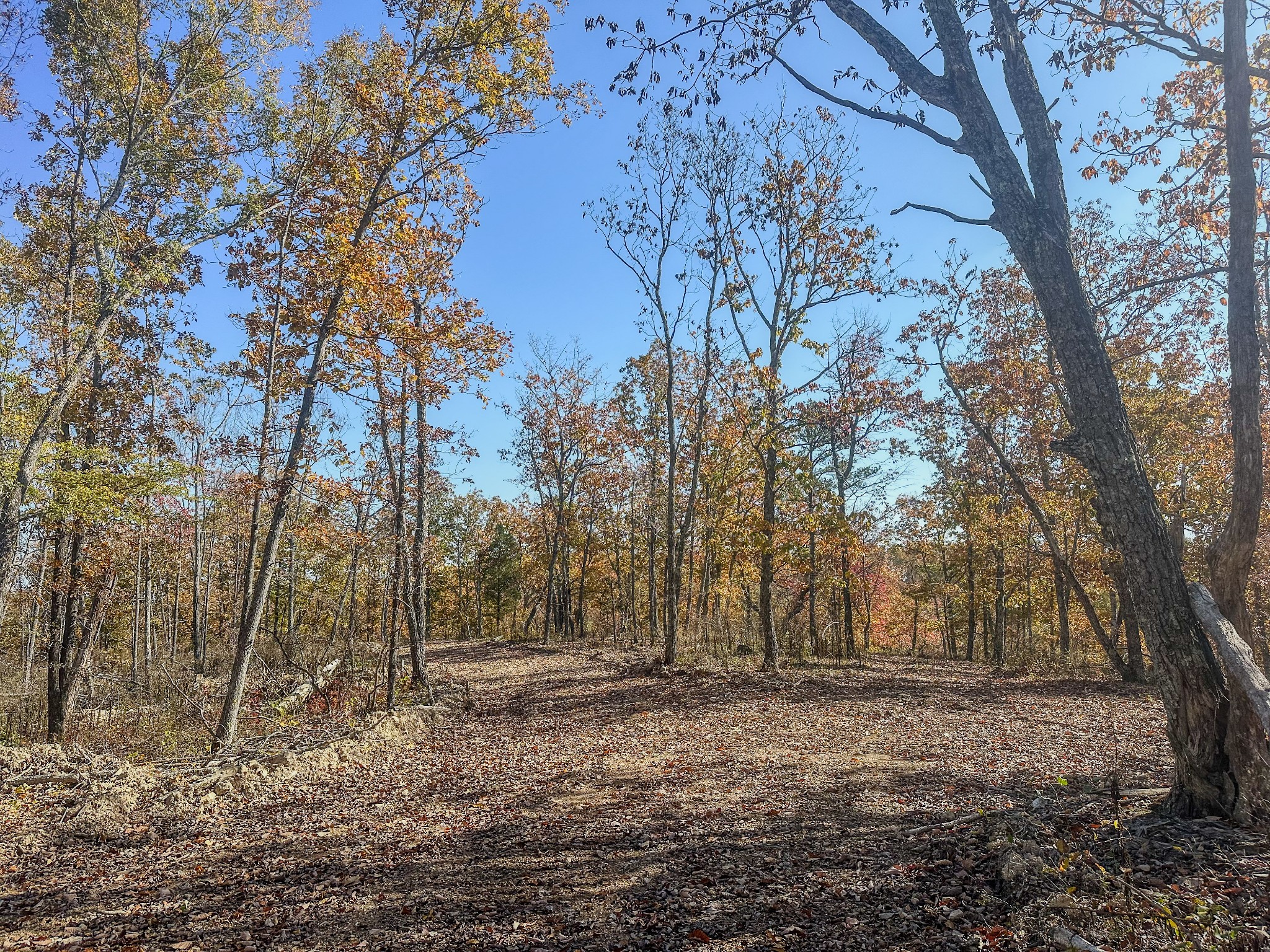 0 Fire Tower Road Centerville, TN 37033 - Photo 14 of 33 a view of backyard with green space