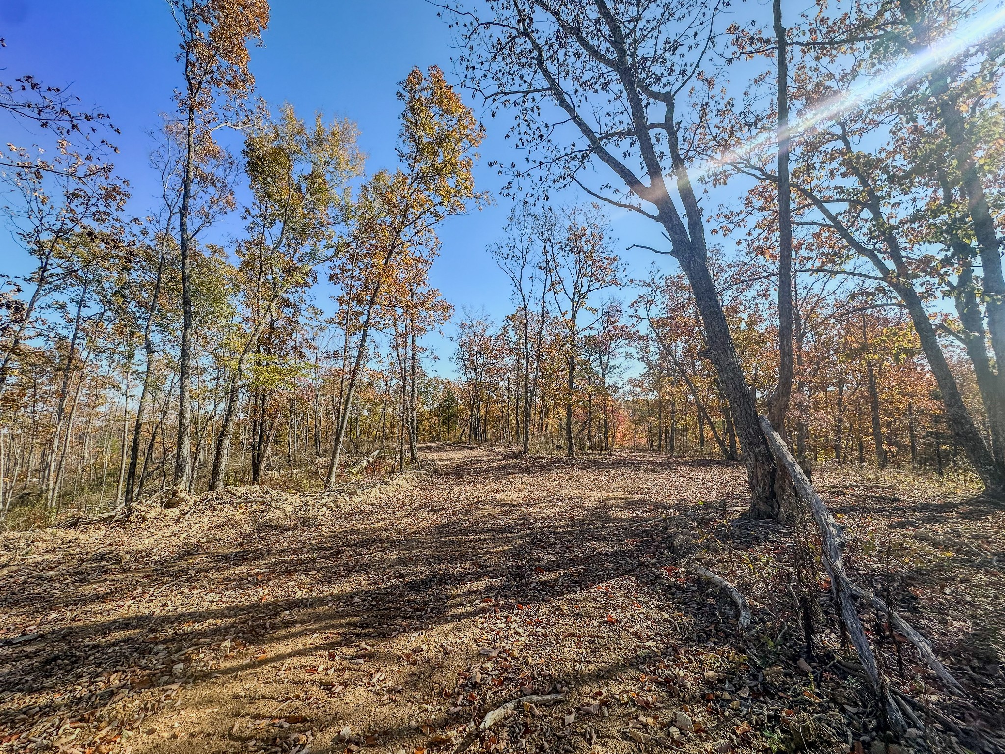 0 Fire Tower Road Centerville, TN 37033 - Photo 15 of 33 a view of dirt yard with trees