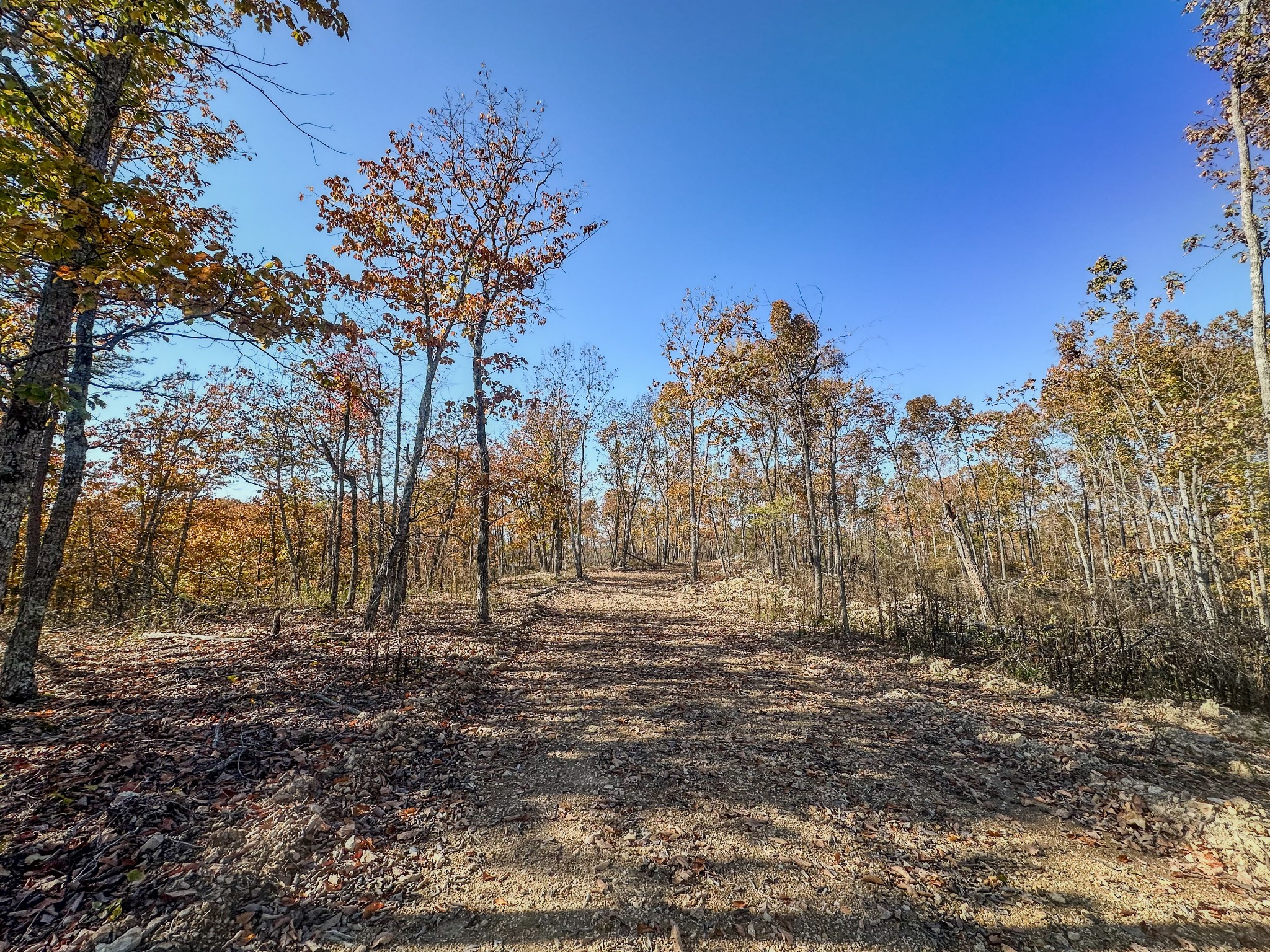 0 Fire Tower Road Centerville, TN 37033 - Photo 17 of 33 a view of outdoor space with trees