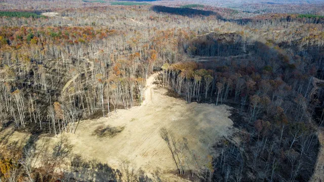 a view of lake with a tree