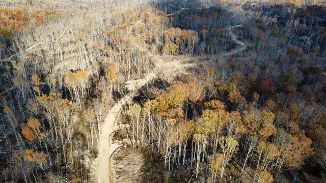 a view of a dry yard with trees