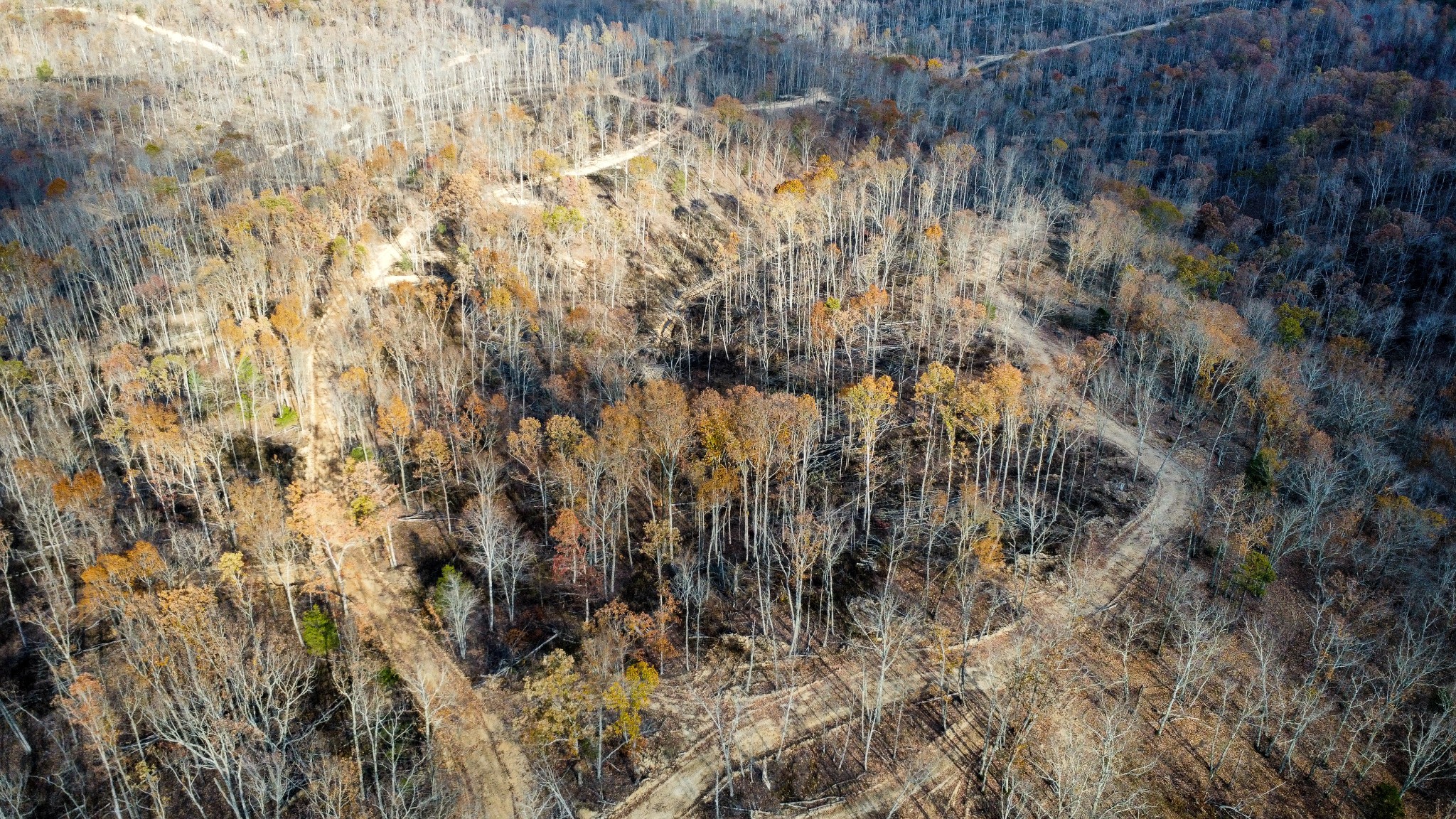 0 Fire Tower Road Centerville, TN 37033 - Photo 21 of 33 a view of lake with a tree
