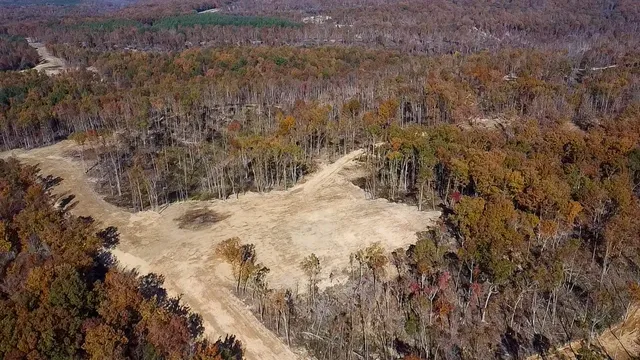 a view of a dry yard
