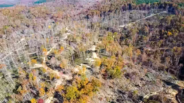 a view of a field with trees in background