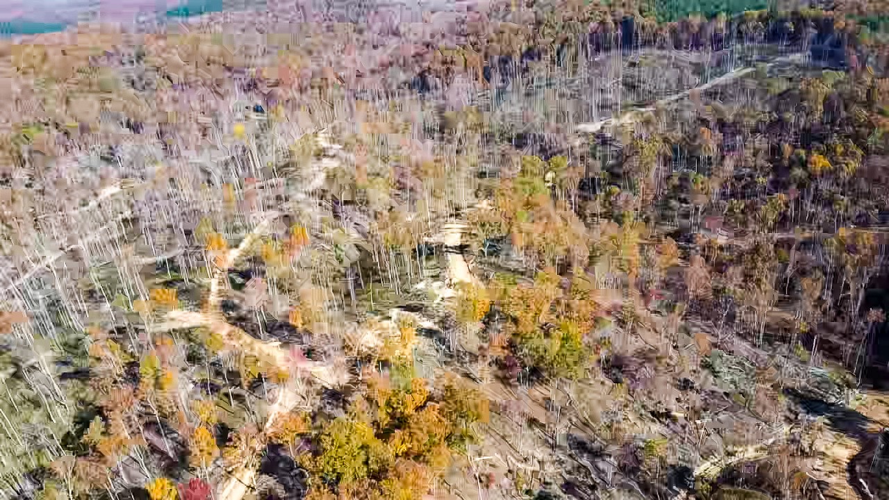 0 Fire Tower Road Centerville, TN 37033 - Photo 24 of 33 a view of a yard