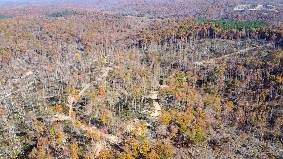 0 Fire Tower Road Centerville, TN 37033 - Photo 25 of 33 a view of a dry yard