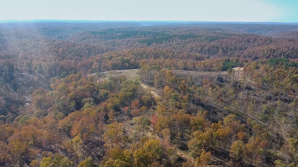 0 Fire Tower Road Centerville, TN 37033 - Photo 26 of 33 a view of a field with trees in background