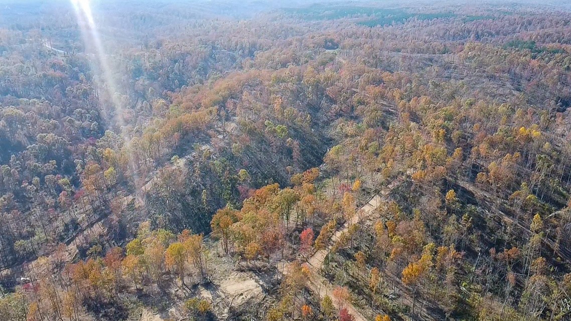 0 Fire Tower Road Centerville, TN 37033 - Photo 27 of 33 a view of a yard