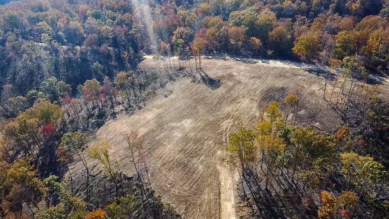 0 Fire Tower Road Centerville, TN 37033 - Photo 30 of 33 a view of outside area