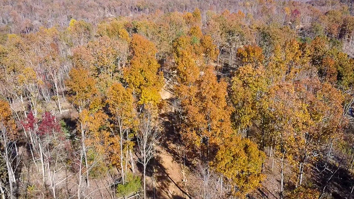 0 Fire Tower Road Centerville, TN 37033 - Photo 31 of 33 a view of a yard